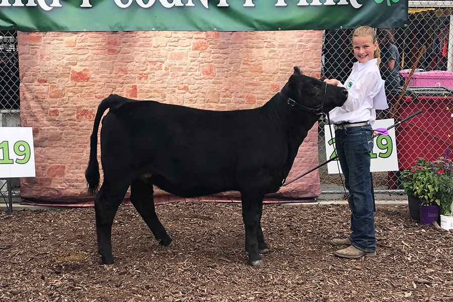 LKCC Great Whinny Chmp Jr Breeding Hfr