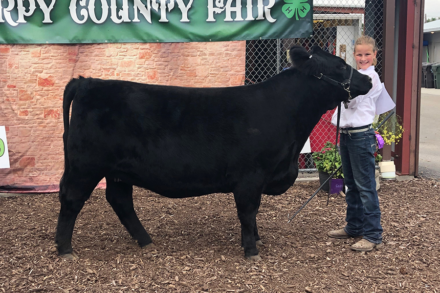 RUBYS JUANADA 818F Res Chmp Breeding Hfr Chmp Jr Showman