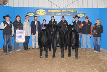 2020 Res ChmpPen of 3 Hfs – Kersten Cattle